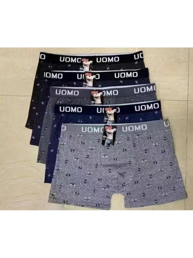 [B6153] Boxers homme en polyester