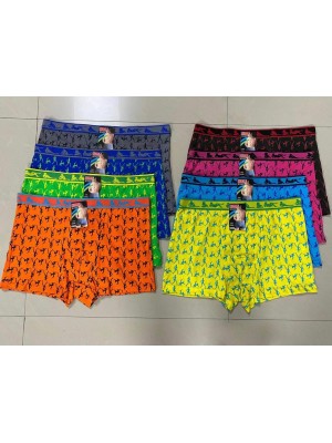[AB-017] Boxers homme polyester coton