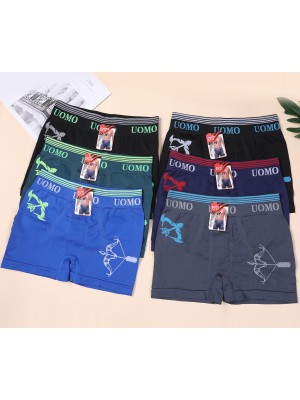 copy of [4202] Boxers homme en polyamide