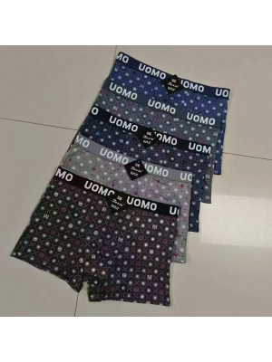 copy of [FD2101] Boxers homme coton
