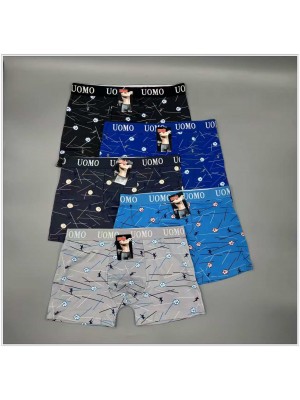 copy of [FD2101] Boxers homme coton