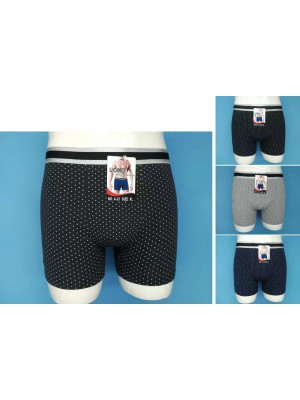 copy of [FD2101] Boxers homme coton