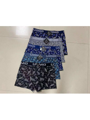 copy of [FD2101] Boxers homme coton