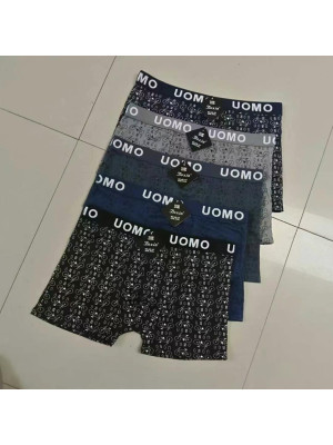 copy of [FD2101] Boxers homme coton