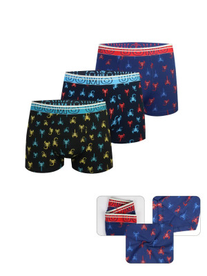 copy of [FD2101] Boxers homme coton