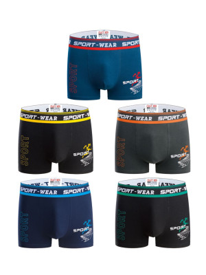 copy of [FD2101] Boxers homme coton