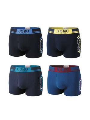 copy of [FD2101] Boxers homme coton