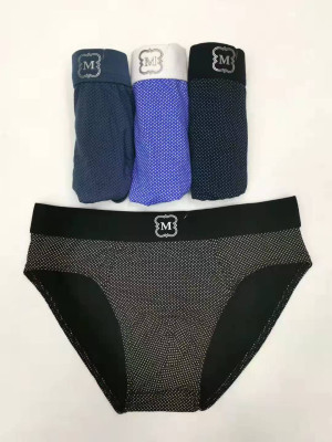 copy of [A-101] Slips homme coton